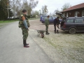 Bilder allerlei 274