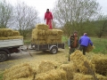 Bilder allerlei 275