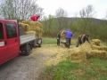 Bilder allerlei 276