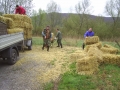 Bilder allerlei 277