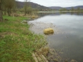 Bilder allerlei 278