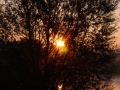 DSC00203