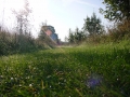 DSC00209