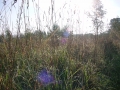 DSC00210