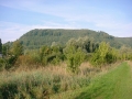 DSC00214