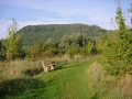 DSC00216