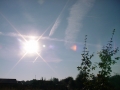 DSC00217