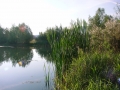 DSC00221