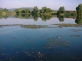 DSC00224