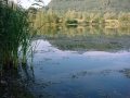 DSC00225