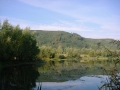 DSC00231