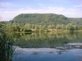DSC00233