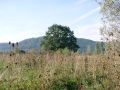 DSC00245