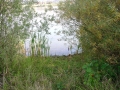 DSC00251