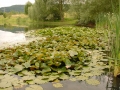 am see (8)