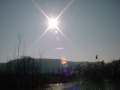 sunshine